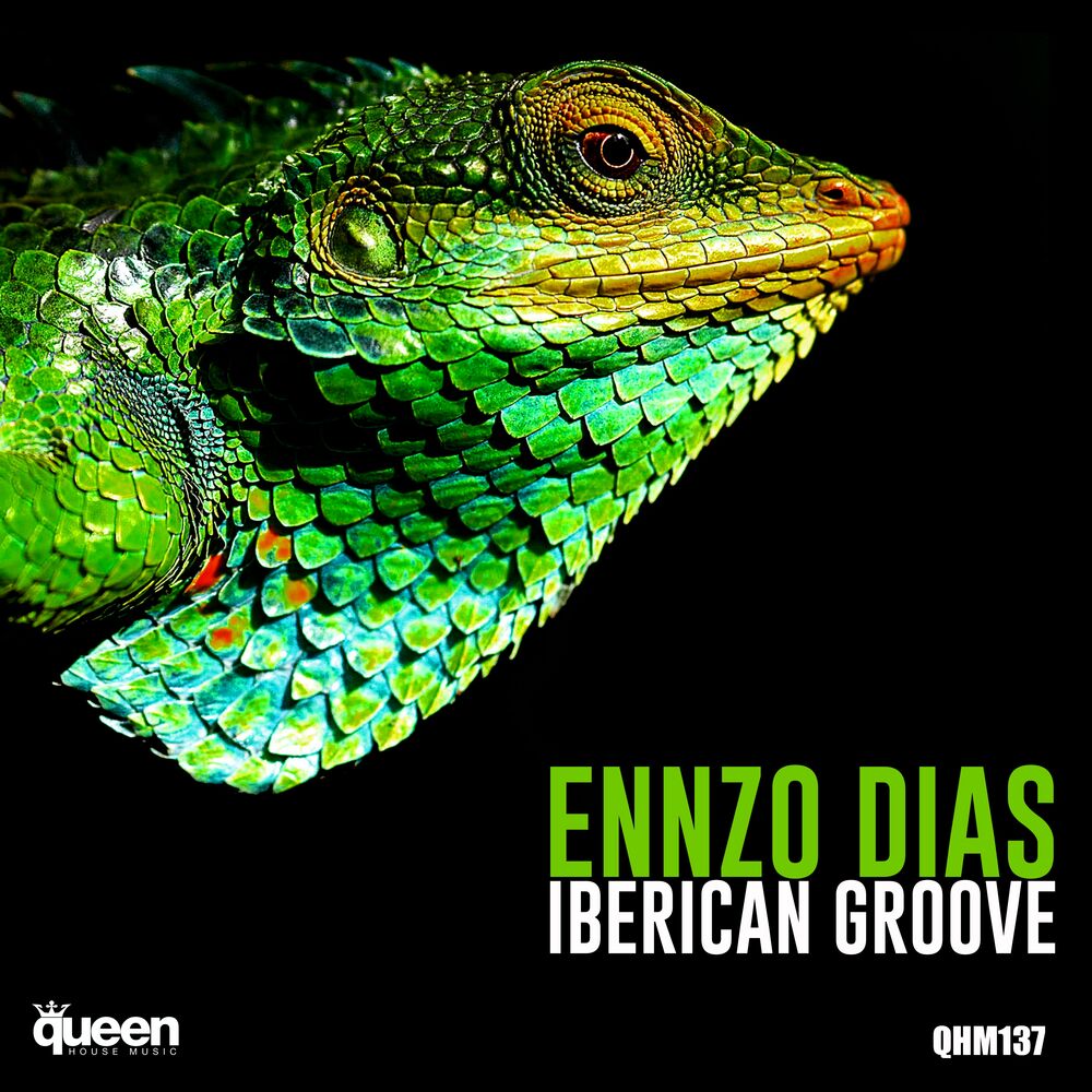 Picture of Iberican Groove