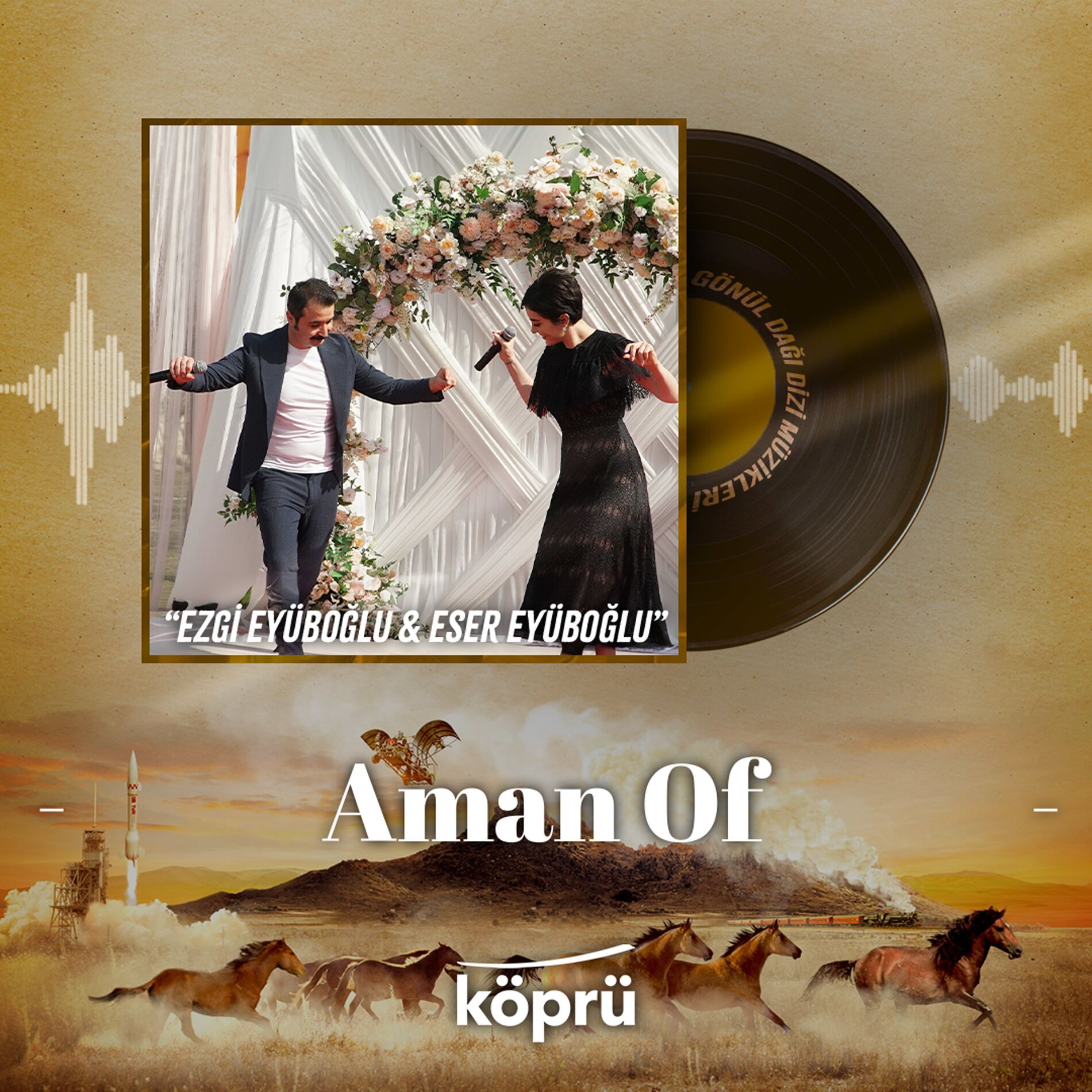 Album cover of Aman Of