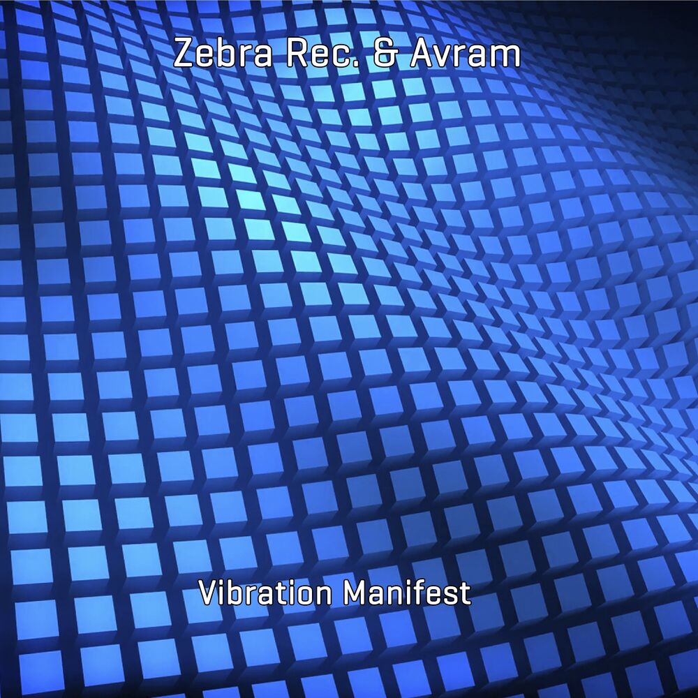Picture of Vibration Manifest