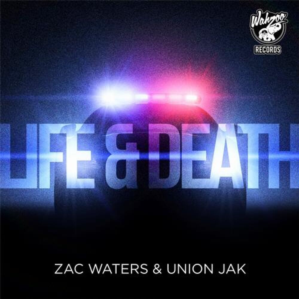 Picture of Life & Death