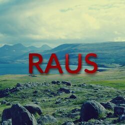 Cover of Raus