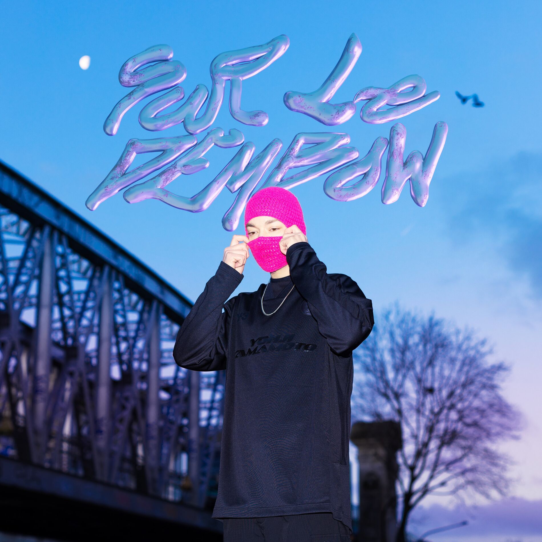 Album cover of Sur le dembow