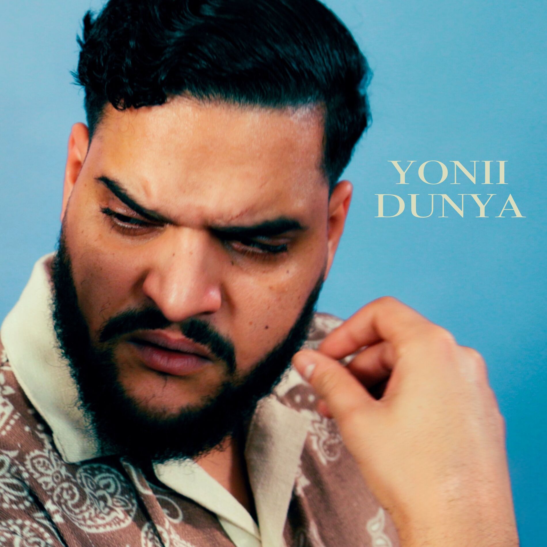 Album cover of Dunya