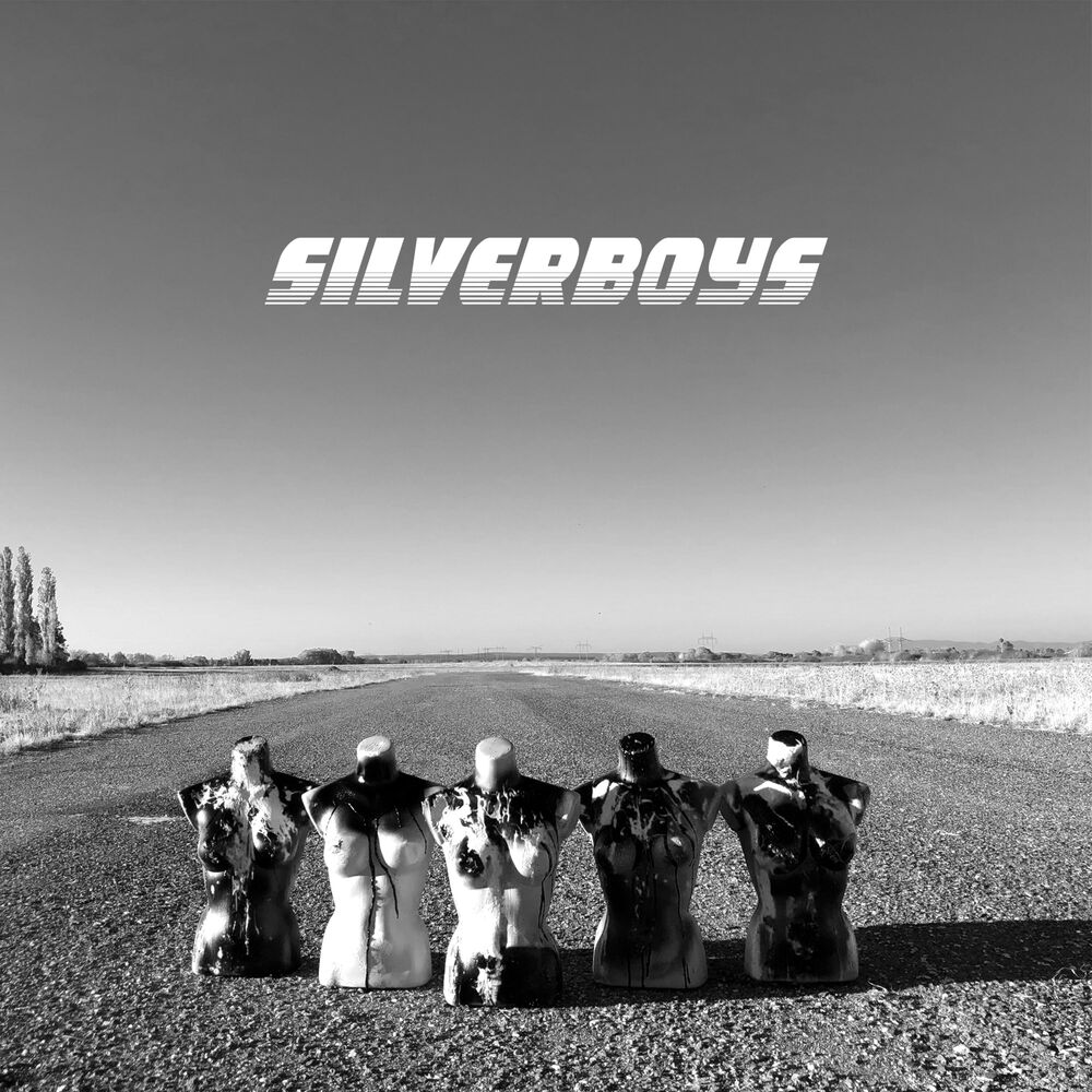 Picture of SilverBoys