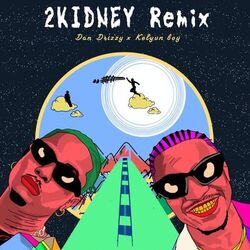 2kidney (Remix)