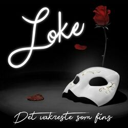 Cover of Det Vakreste Som Fins