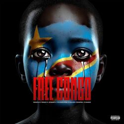 Cover of FREE CONGO