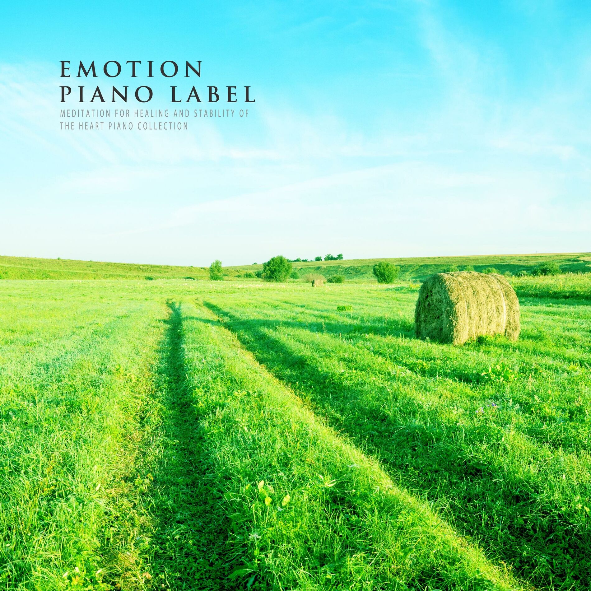 Album cover of Meditation For Healing And Stability Of The Heart Piano Collection