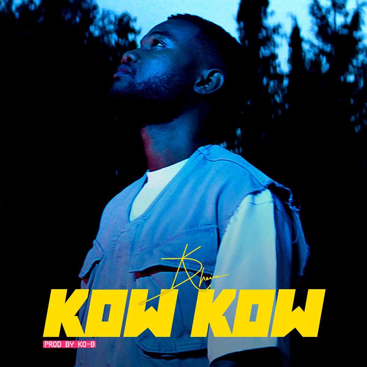 Album cover of Kow Kow