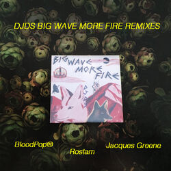 Cover of Big Wave More Fire (Remixes)