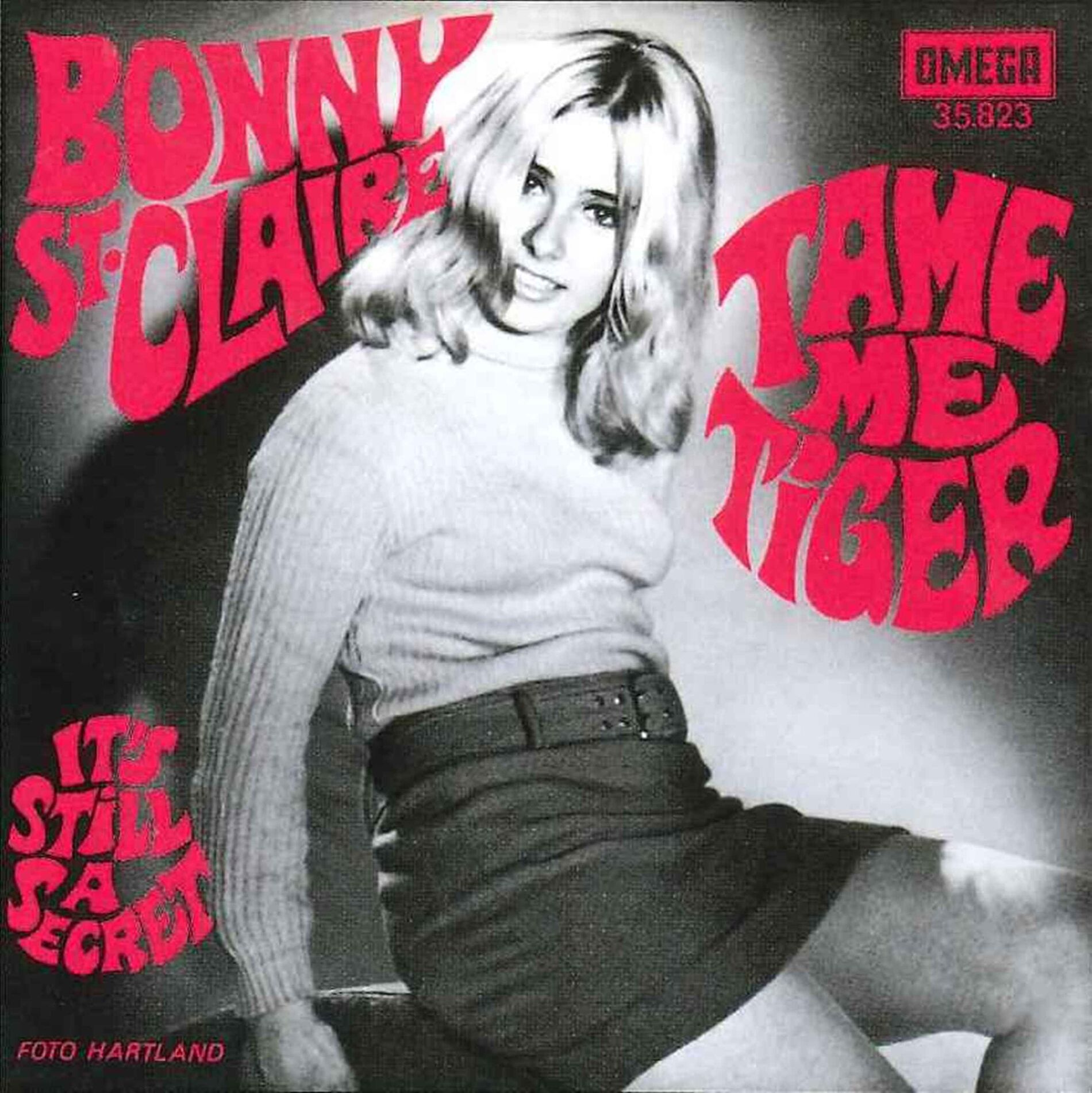 Album cover of Tame Me Tiger