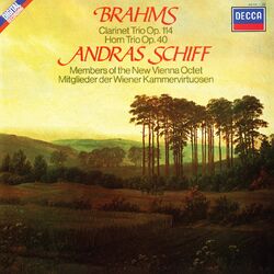 Cover of Brahms: Clarinet Trio, Op. 114; Horn Trio, Op. 40 (New Vienna Octet; Vienna Wind Soloists — Complete Decca Recordings Vol. 5)