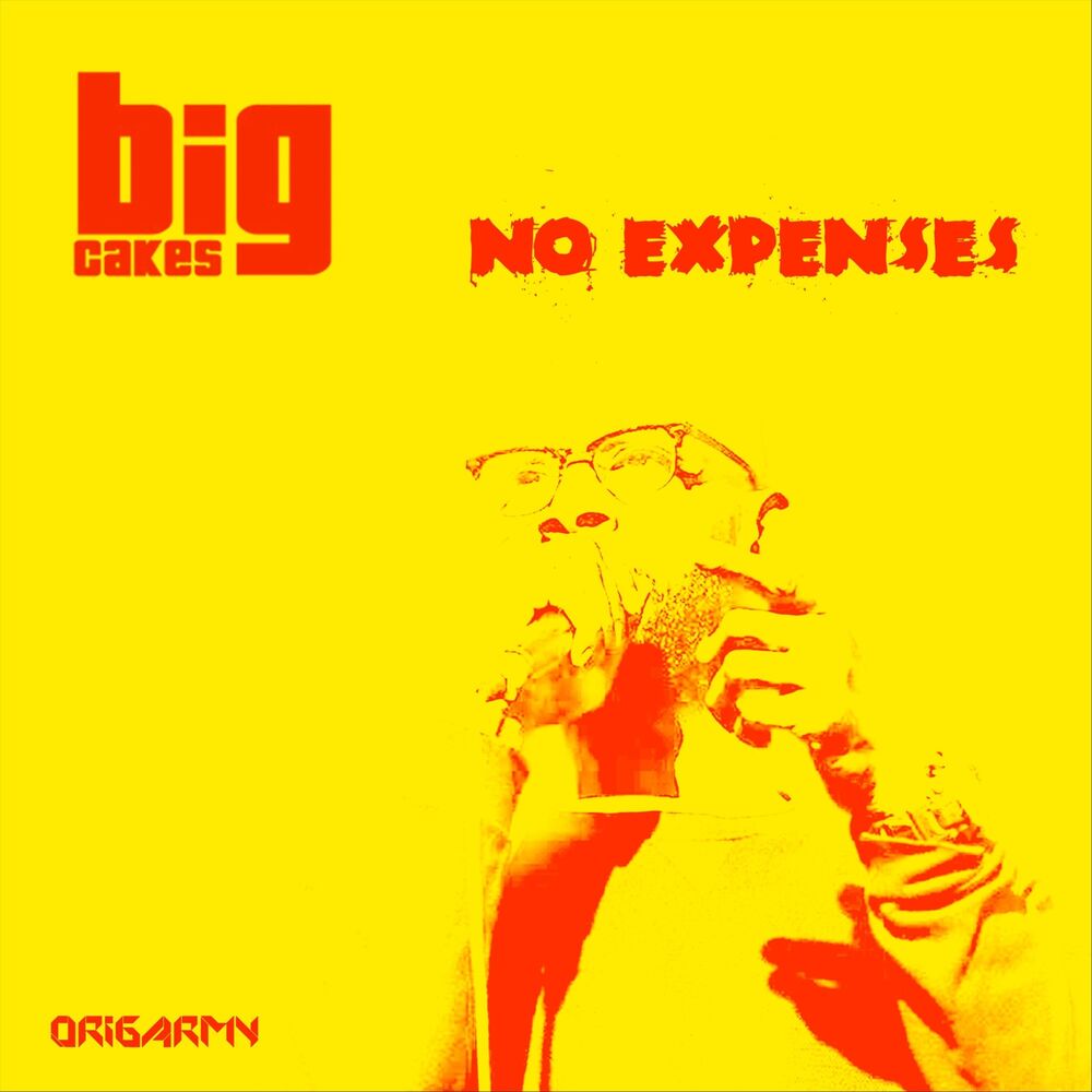 Picture of No Expenses