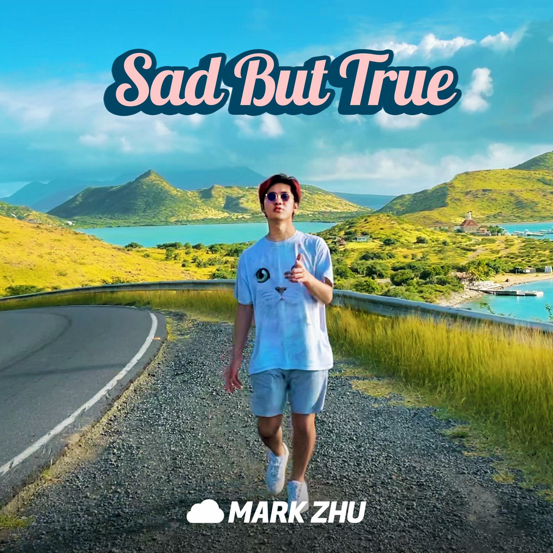 Album cover of Sad But True