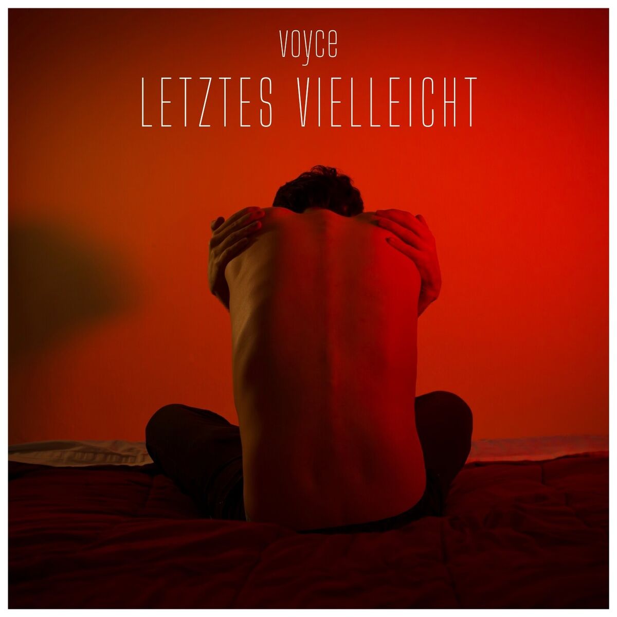 Album cover of Letztes Vielleicht