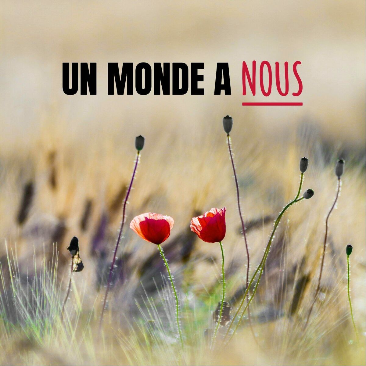 Album cover of Un Monde A Nous
