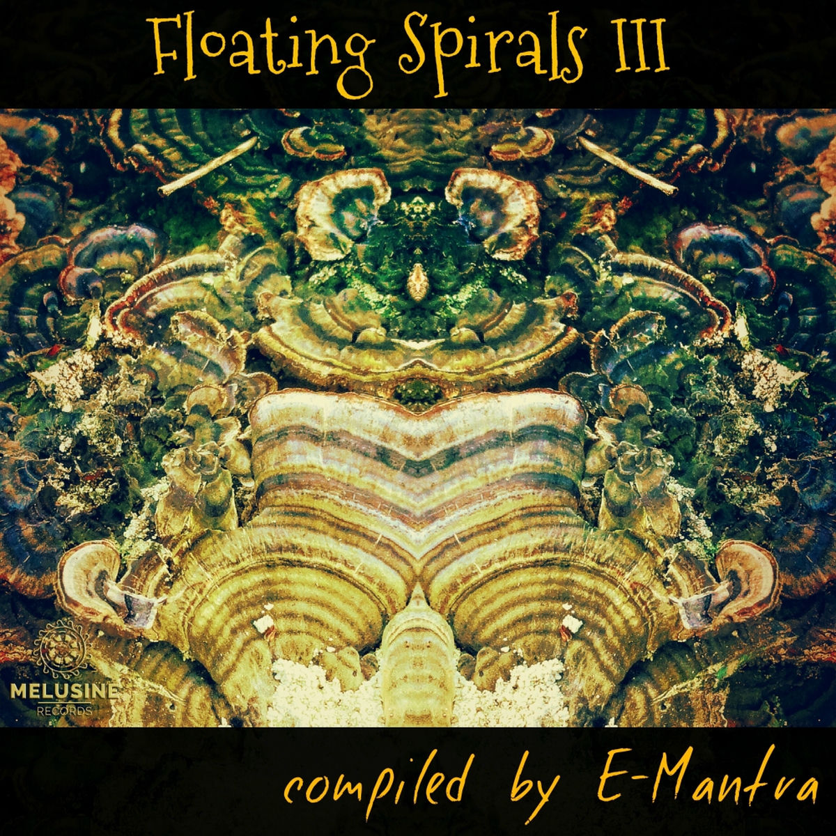 Album cover of Nerida