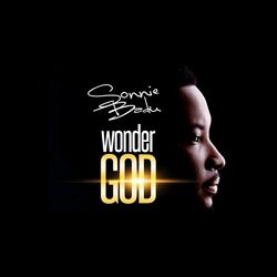 Cover of Wonder God