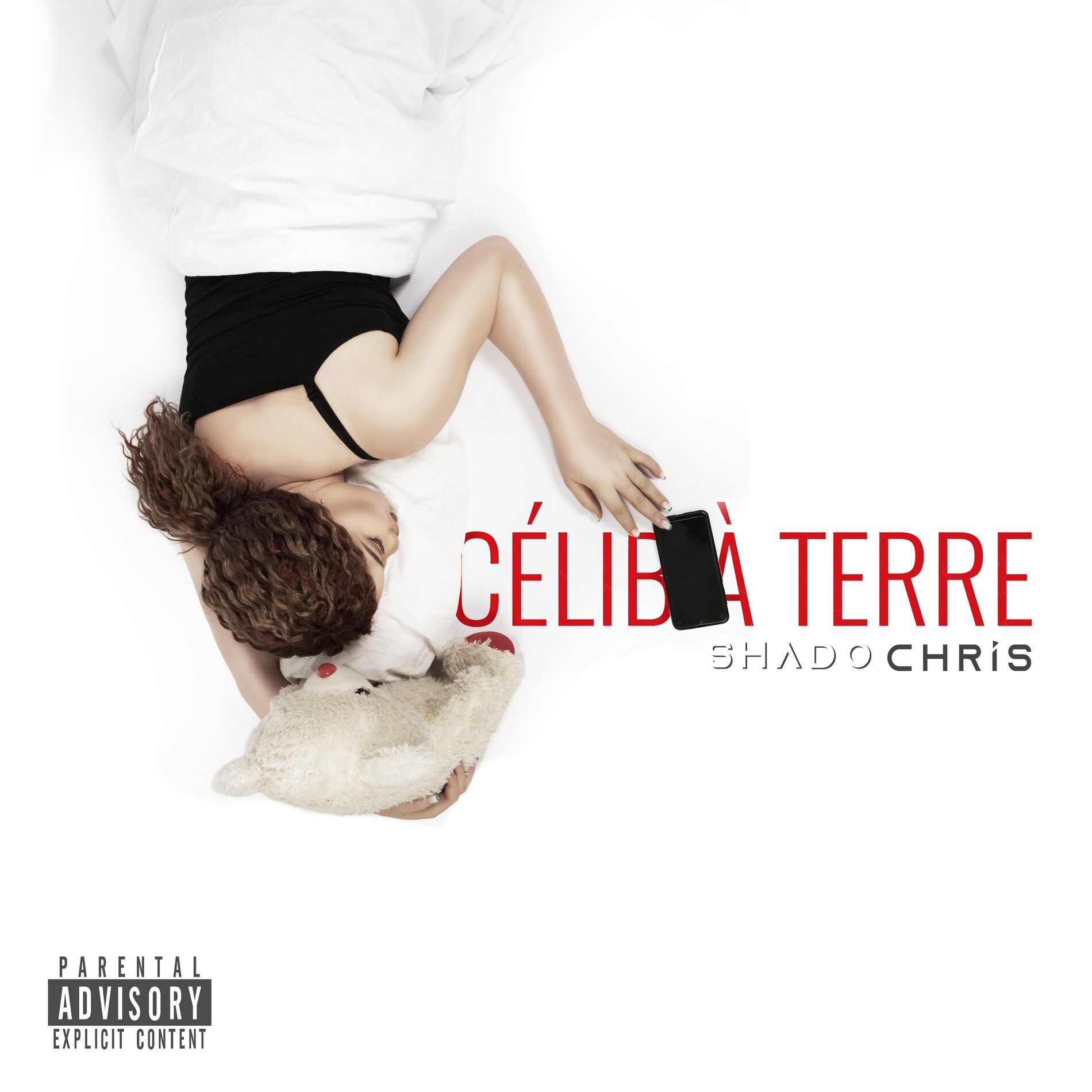 Album cover of Célib à Terre