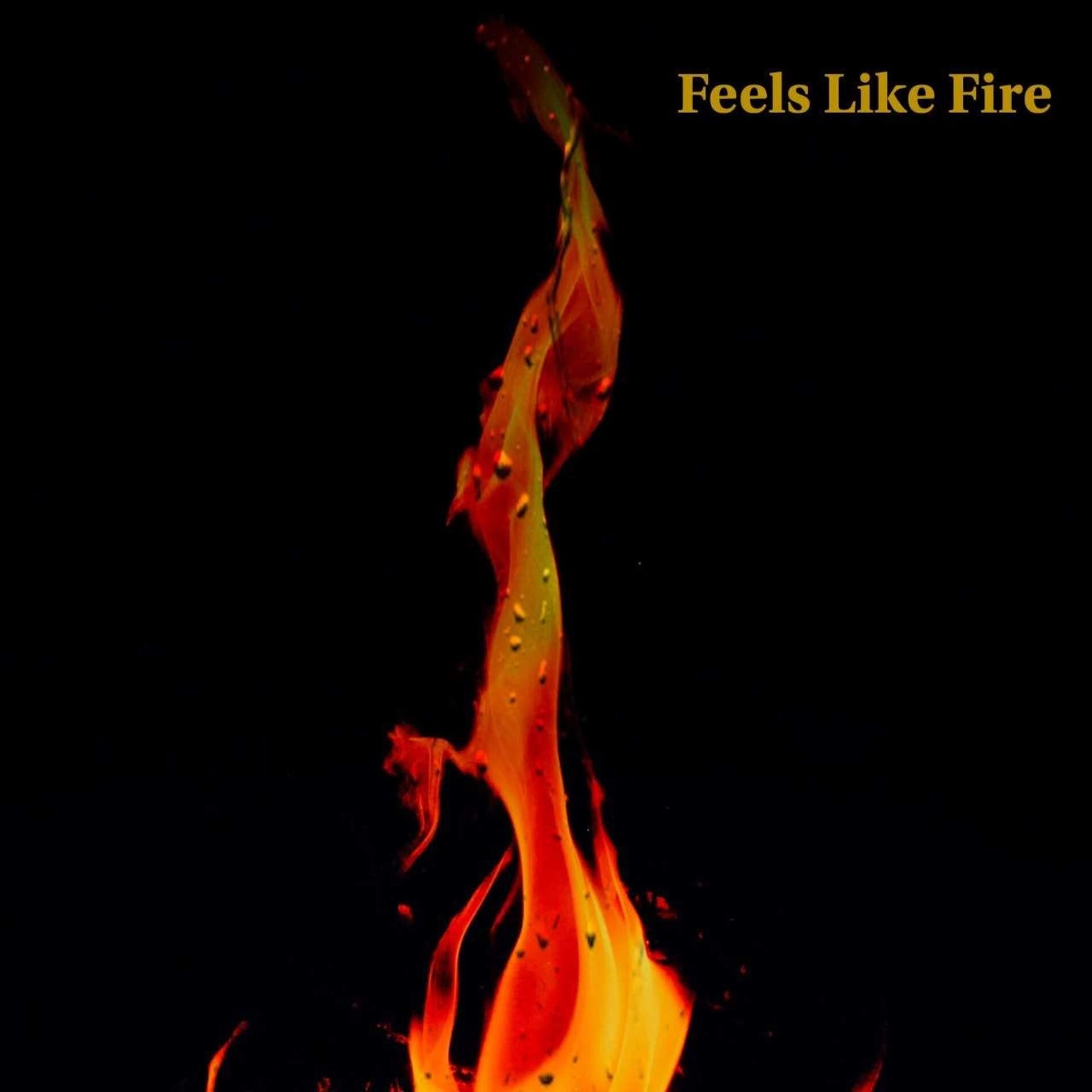 Album cover of Feels Like Fire (feat. Darren Porter)