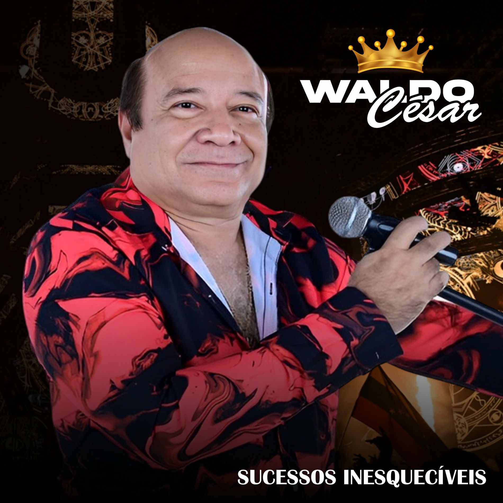 Album cover of Sucessos Inesquecíveis
