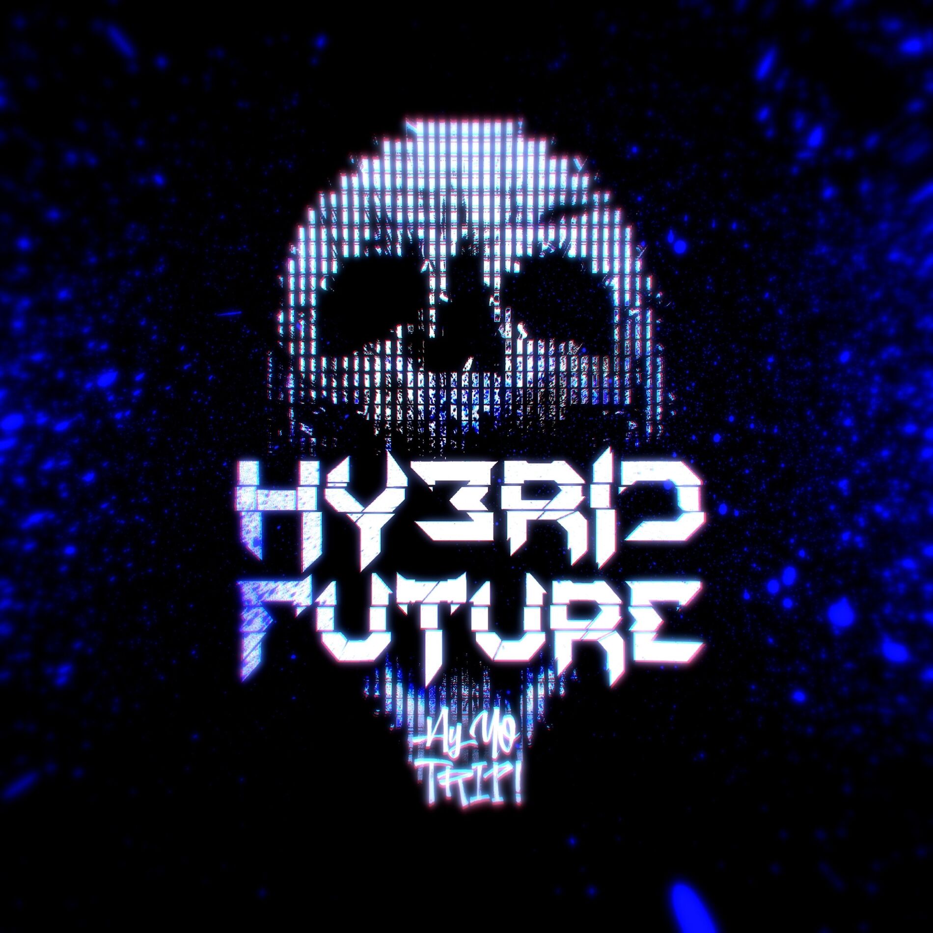 Album cover of Hybrid Future