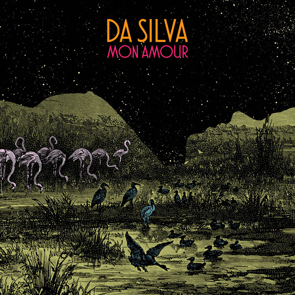 Picture of Mon Amour (Remix)