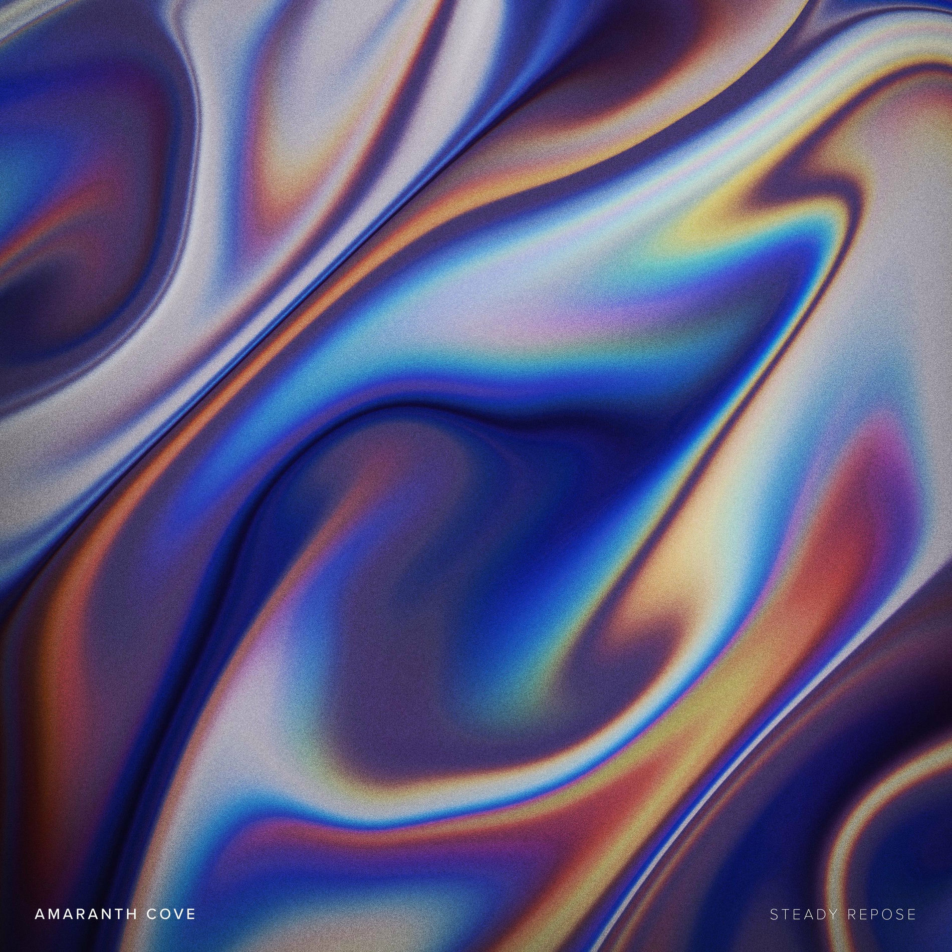 Album cover of Steady Repose