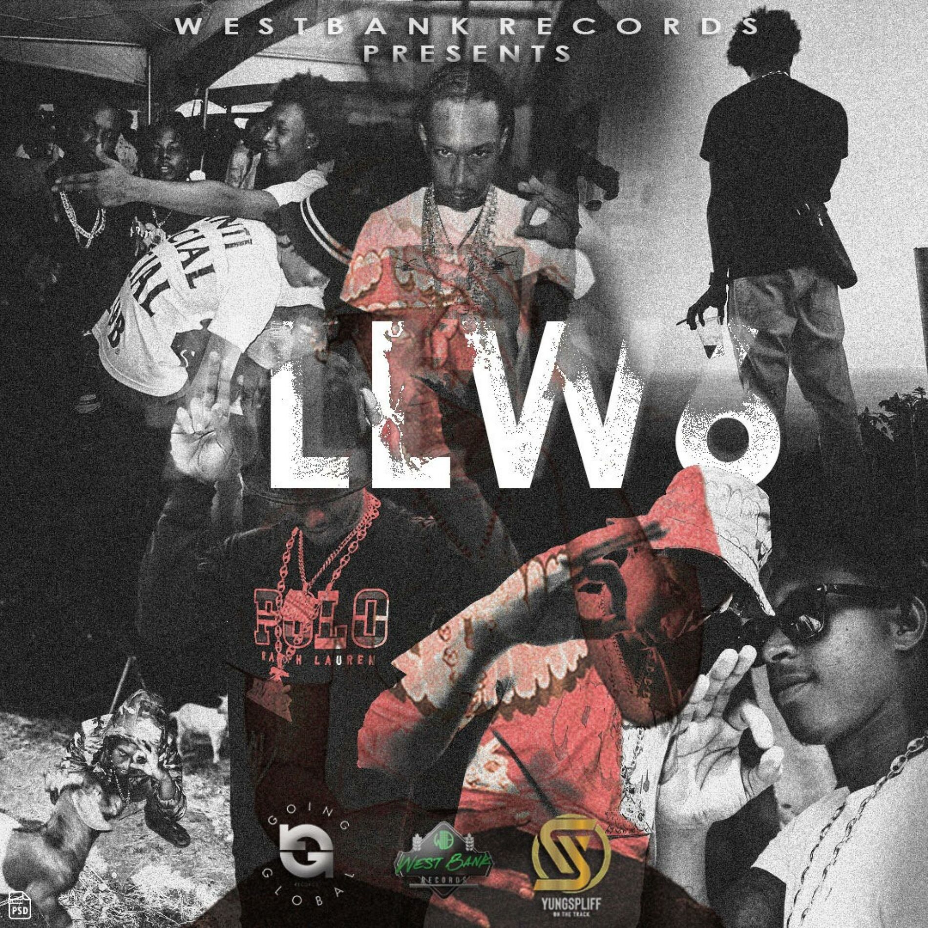 Album cover of LLW6