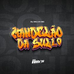 Cover of Mandelão da Sul 1.0