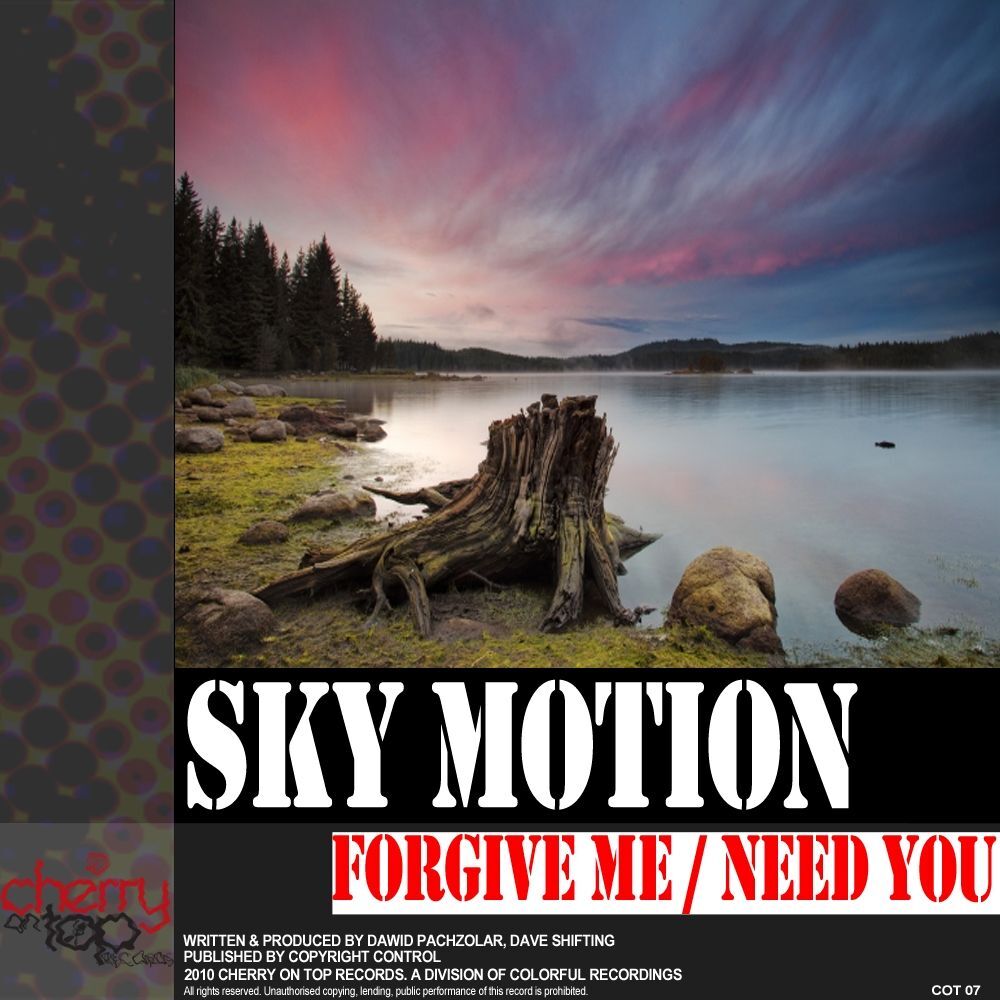 Picture of Forgive Me / Need You