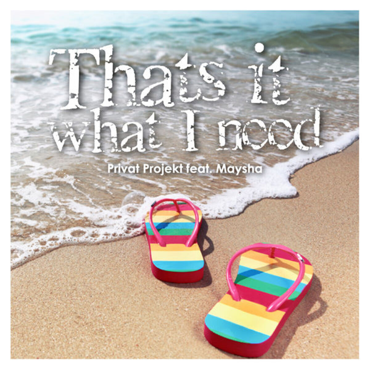 Album cover of That's It What I Need (Radio Edit)