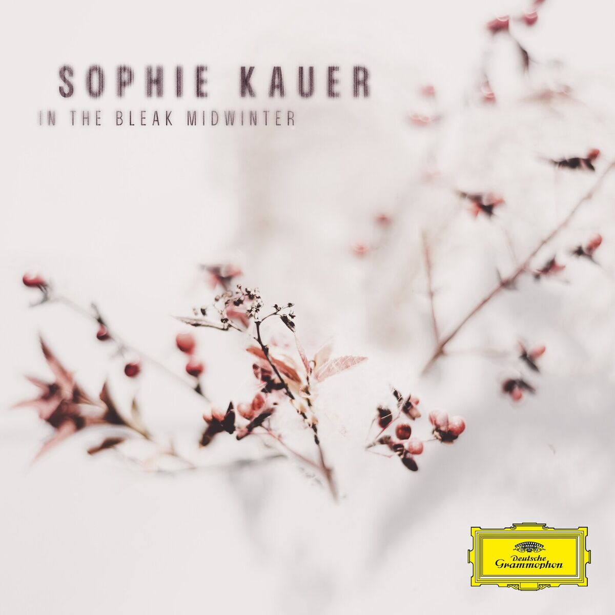 Album cover of Holst: In The Bleak Midwinter (Arr. Amy Crankshaw for Solo Cello and Strings)