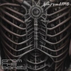 Cover of FROM THE BONES