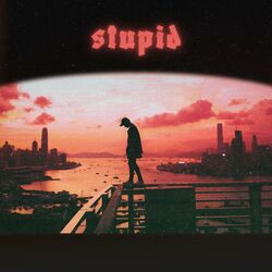 Cover of stupid