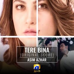 Cover of Tere Bina (Original Score)
