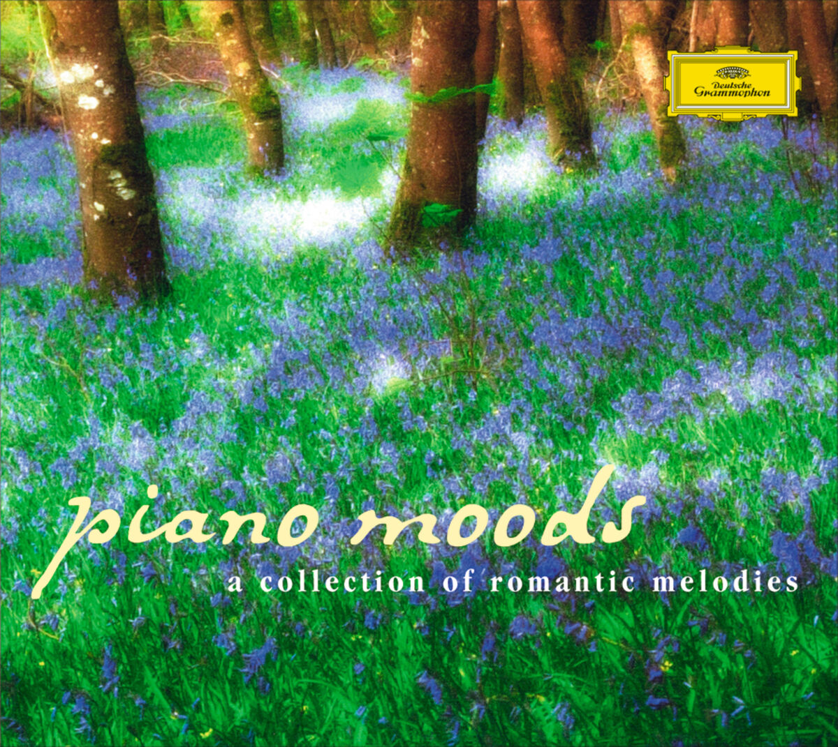 Album cover of 6 Consolations, S. 172 : No. 3 In D Flat Major (Lento, placido)