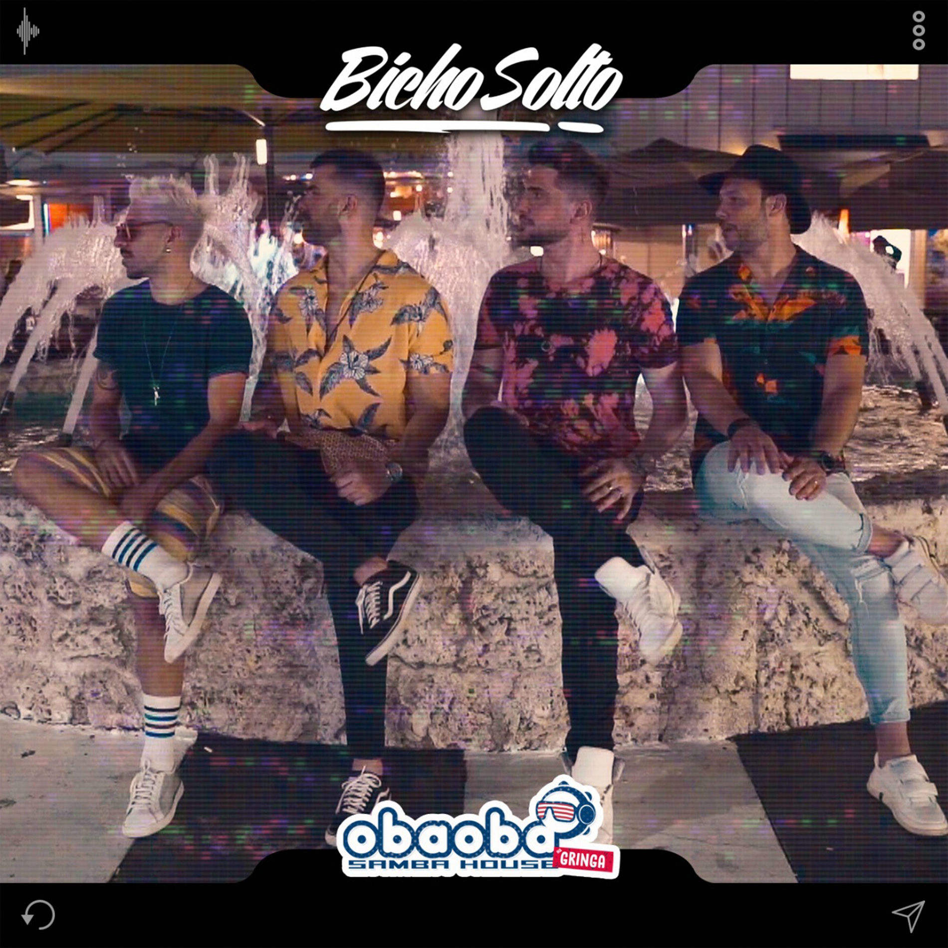 Album cover of Bicho Solto