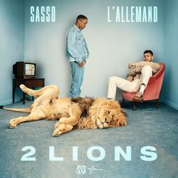 Cover of 2 Lions