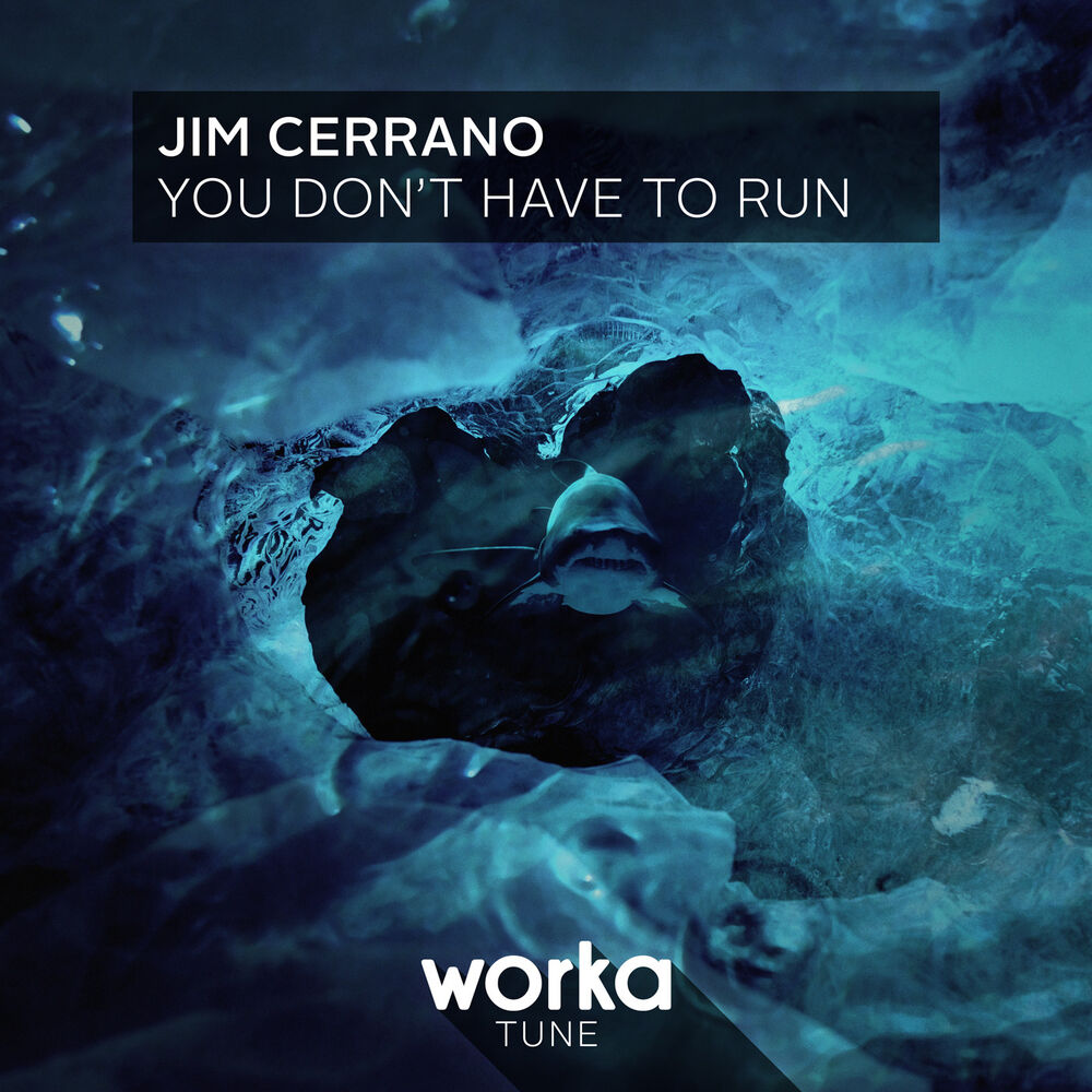 Picture of You Don't Have to Run