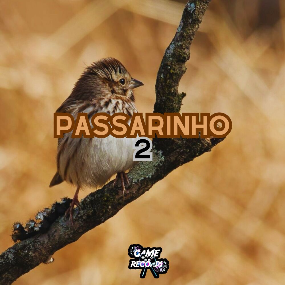 Picture of Passarinho 2
