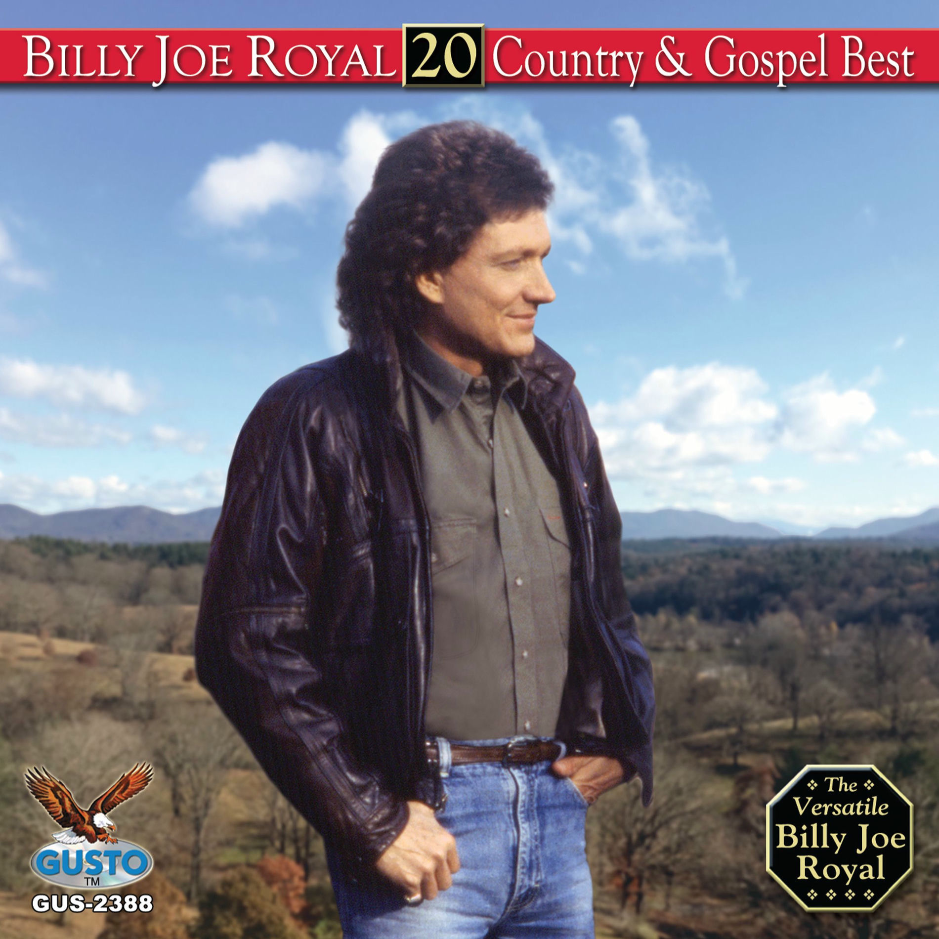Album cover of 20 Country & Gospel Best
