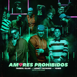 Cover of Amores Prohibidos