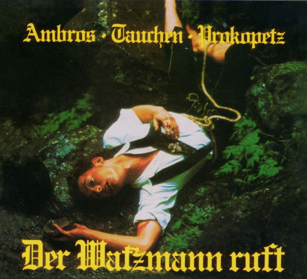 Album cover of Lied: Der Berg