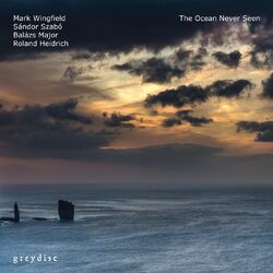 Cover of The Ocean Never Seen