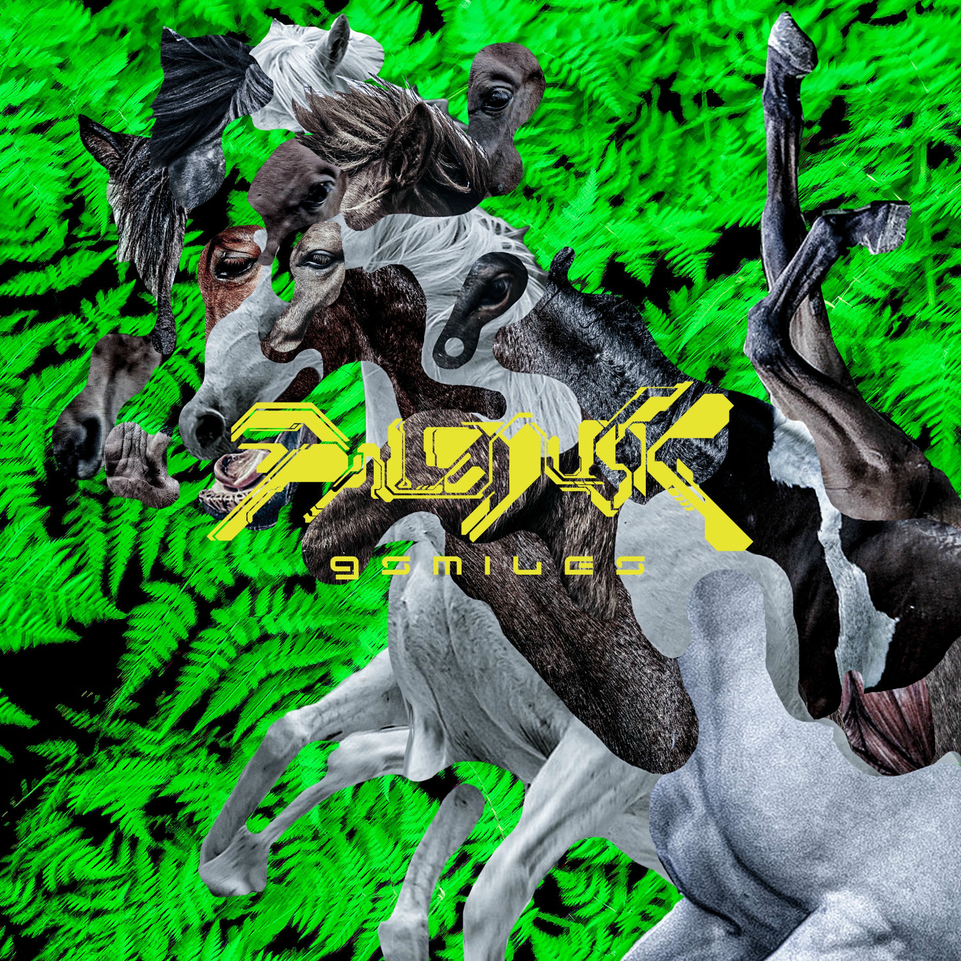 PALEDUSK: アルバム、曲、コンサート | Deezer