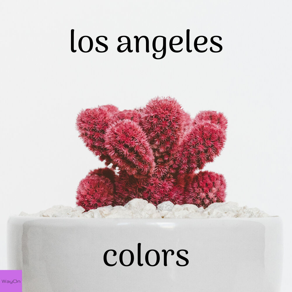 Picture of Colors