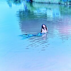 Cover of PADO