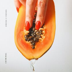 Cover of Criminal