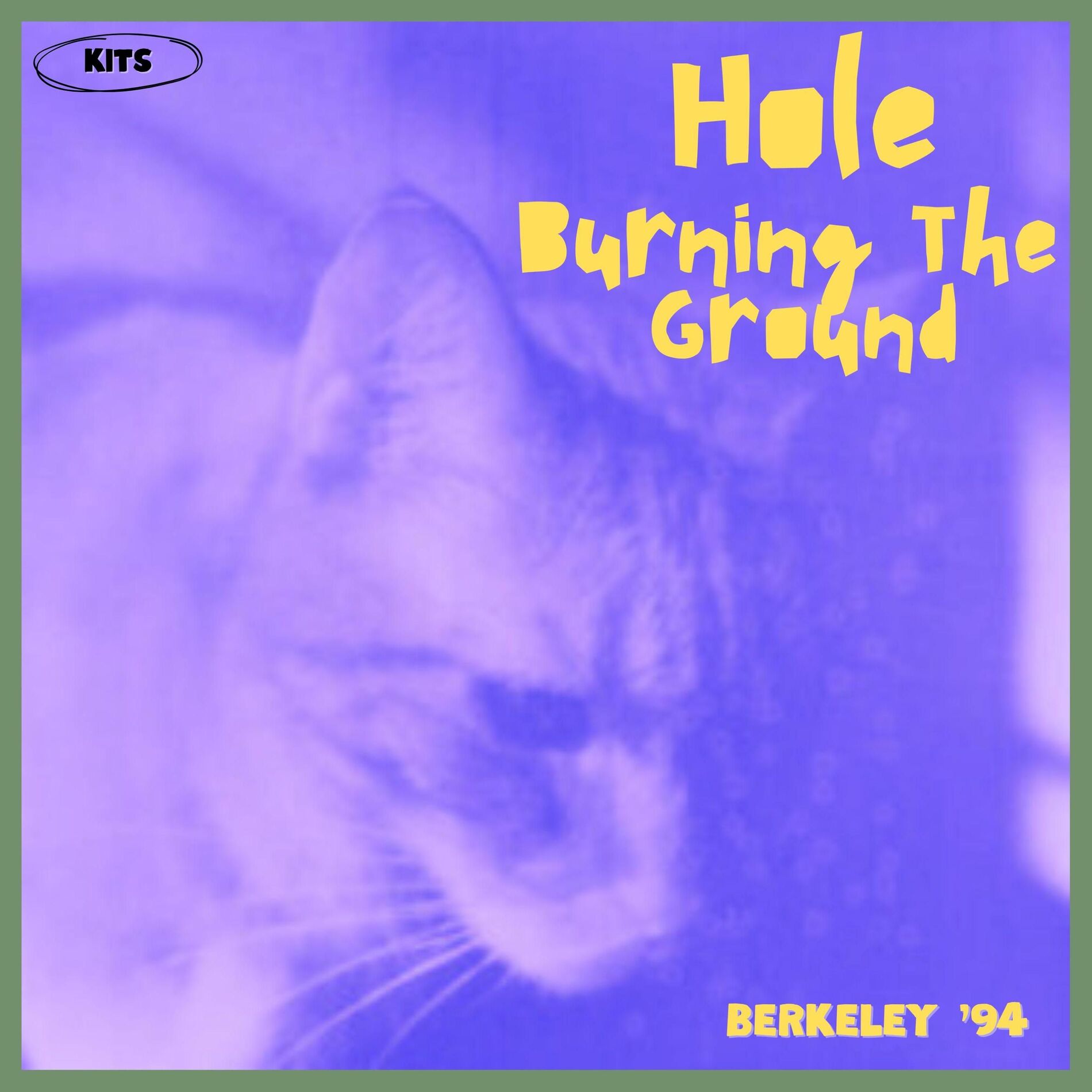 Album cover of Burning The Ground (Live Berkeley '94)